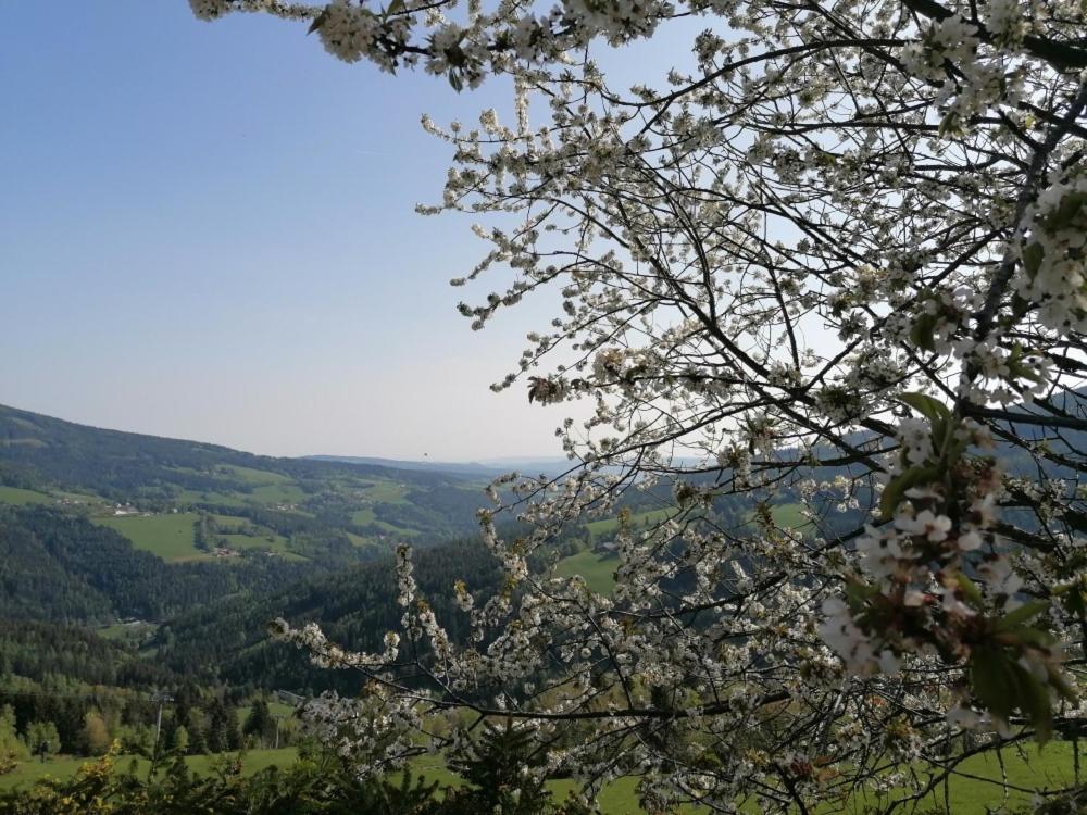 Alpengasthof Fernblick Moenichkirchen Luaran gambar